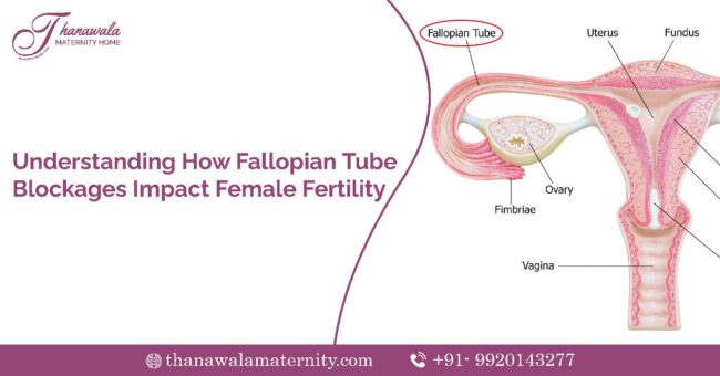 best female infertility treatment in Vashi, Navi Mumbai